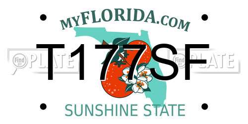 T177SF Florida License Plate