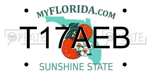 T17AEB Florida License Plate