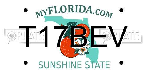 T17BEV Florida License Plate