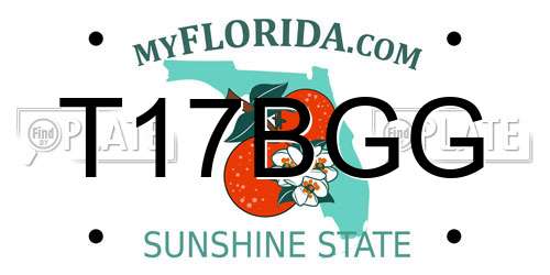 T17BGG Florida License Plate