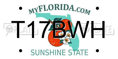 T17BWH Florida License Plate
