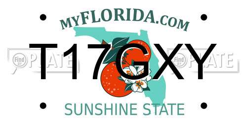 T17GXY Florida License Plate