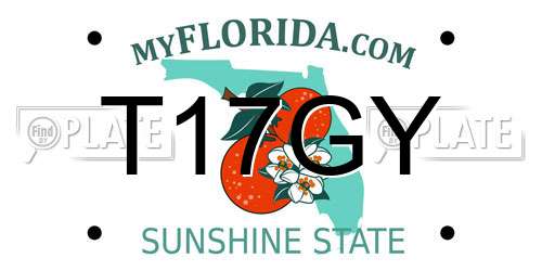 T17GY Florida License Plate