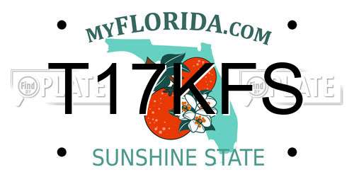 T17KFS Florida License Plate