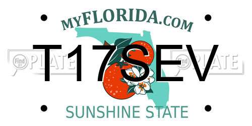 T17SEV Florida License Plate