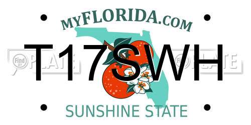 T17SWH Florida License Plate