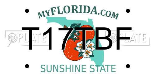 T17TBF Florida License Plate