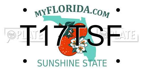 T17TSF Florida License Plate