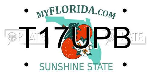 T17UPB Florida License Plate