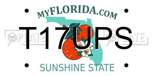 T17UPS Florida License Plate