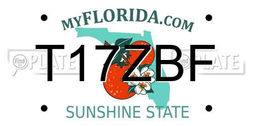 T17ZBF Florida License Plate
