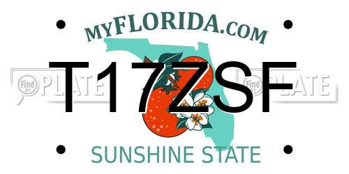T17ZSF Florida License Plate