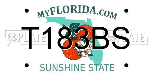 T183BS Florida License Plate