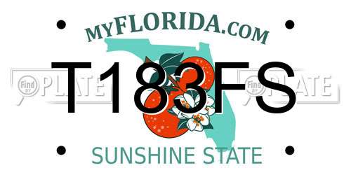 T183FS Florida License Plate