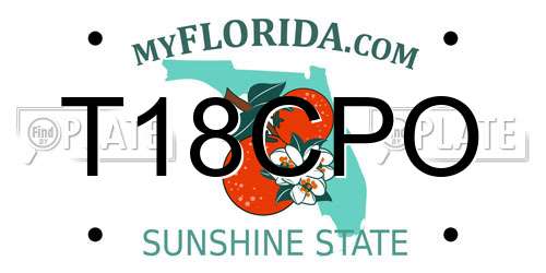 T18CPO Florida License Plate
