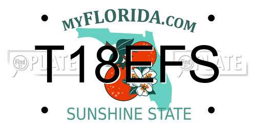 T18EFS Florida License Plate