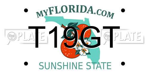 T19GT Florida License Plate