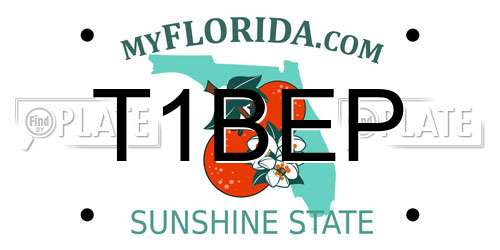 T1BEP Florida License Plate