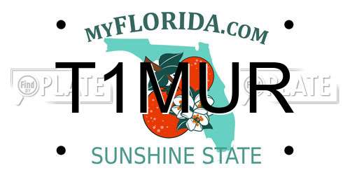 T1MUR Florida License Plate