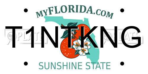 T1NTKNG Florida License Plate