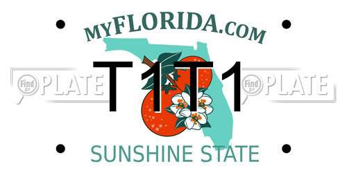 T1T1 Florida License Plate