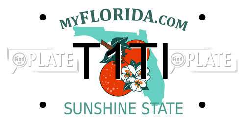 T1TI Florida License Plate