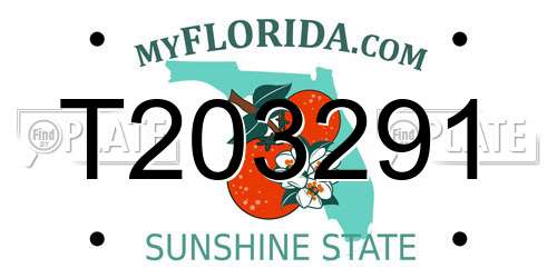 T203291 Florida License Plate