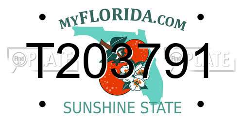 T203791 Florida License Plate
