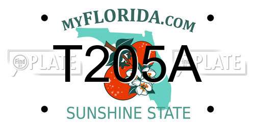 T205A Florida License Plate