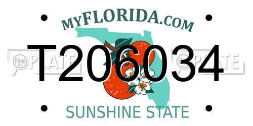 T206034 Florida License Plate