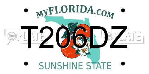 T206DZ Florida License Plate