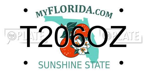 T206OZ Florida License Plate