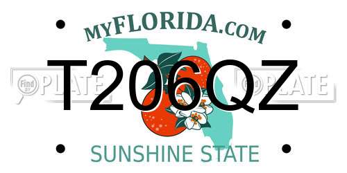 T206QZ Florida License Plate
