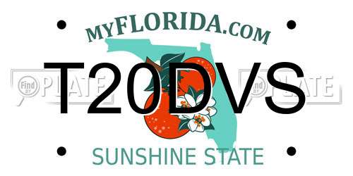 T20DVS Florida License Plate