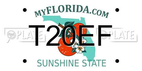 T20EF Florida License Plate