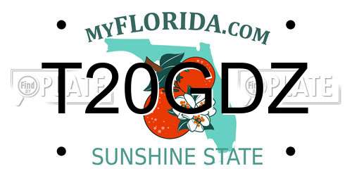 T20GDZ Florida License Plate