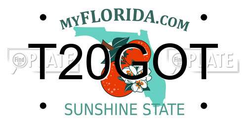 T20GOT Florida License Plate