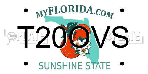 T20OVS Florida License Plate