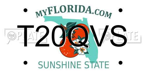 T20QVS Florida License Plate