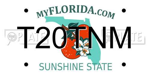 T20TNM Florida License Plate
