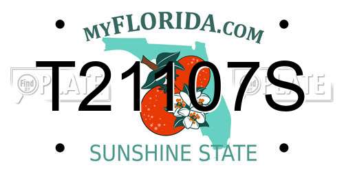 T21107S Florida License Plate