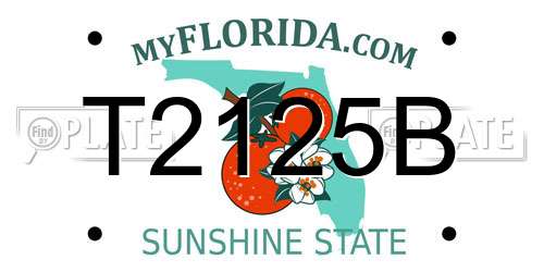 T2125B Florida License Plate