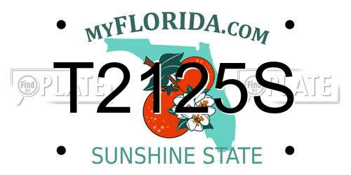 T2125S Florida License Plate