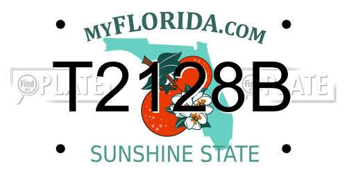 T2128B Florida License Plate