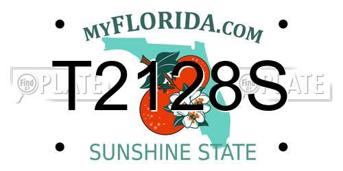 T2128S Florida License Plate