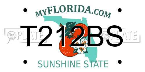 T212BS Florida License Plate