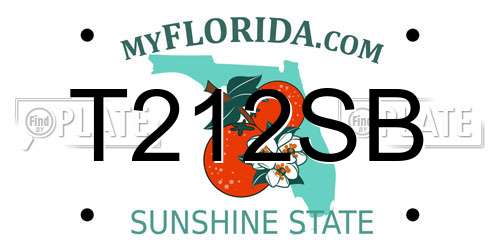 T212SB Florida License Plate