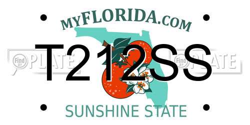 T212SS Florida License Plate