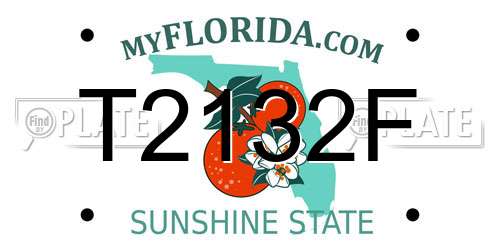 T2132F Florida License Plate