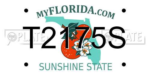 T2175S Florida License Plate